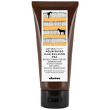 Davines Nourishing Hair Building Pak